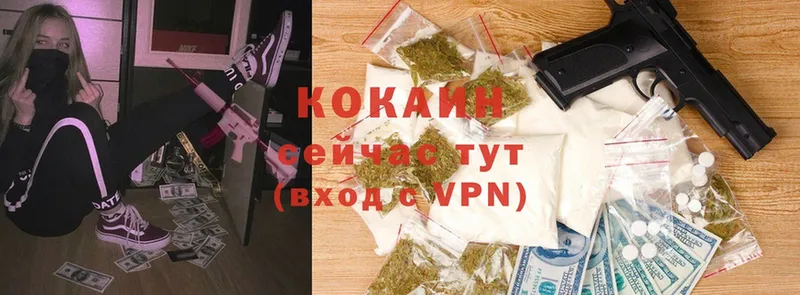 Cocaine Fish Scale  закладка  ОМГ ОМГ как зайти  Мценск 